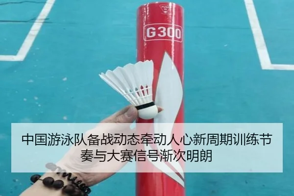 中国游泳队备战动态牵动人心新周期训练节奏与大赛信号渐次明朗（kaiyun）